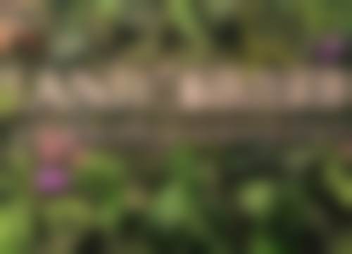 南昌兰积医疗美容诊所怎么样特色项目及技术优势