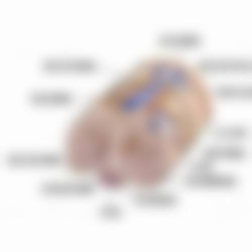 李挺医师的特色技术优势