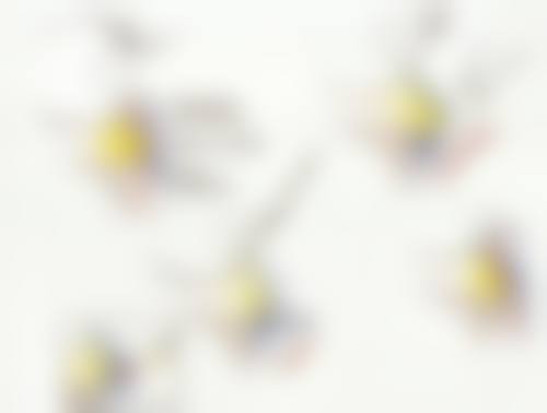 石家庄联丽医疗美容诊所怎么样基本信息