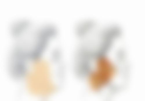 沈阳铁西金精华医疗美容诊所怎么样基本信息