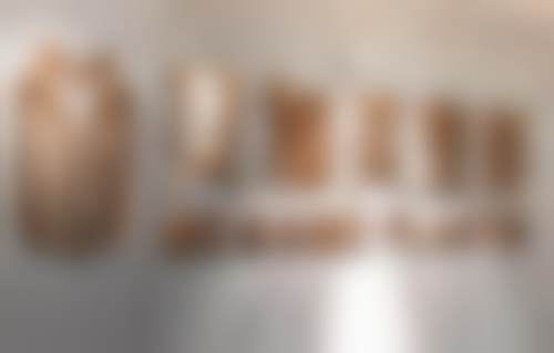 深圳美加美医疗美容门诊部怎么样简介概述