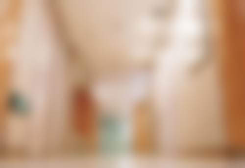 张东林可借助的精良技术