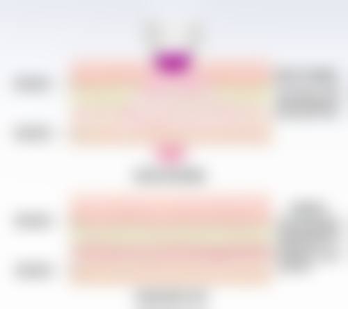 韩国媄潾整形外科价格收费