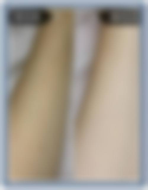 特色项目及技术优势