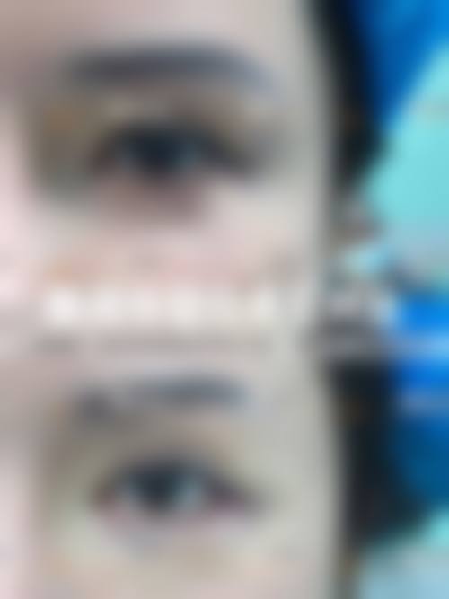 机构简介与环境