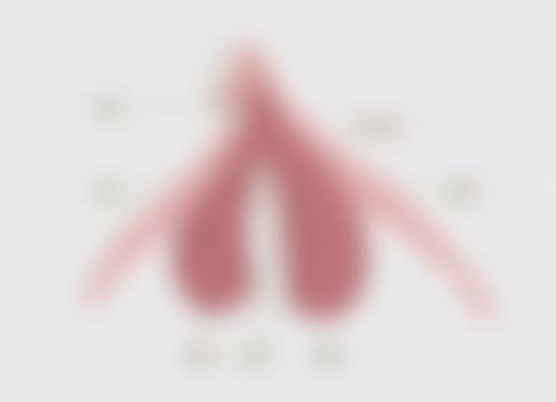 淮北市中医院整形美容专科怎么样特色项目及技术优势