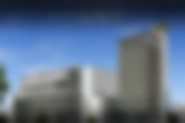 Somboon擅长的精细化整形项目及特色技术