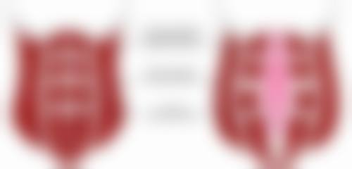 石家庄臻艾医疗美容院特色项目及技术优势