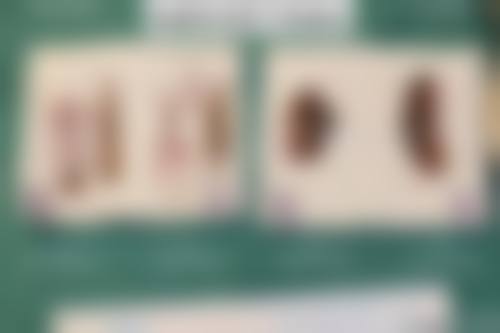 日照医疗美容口腔医院来院路线