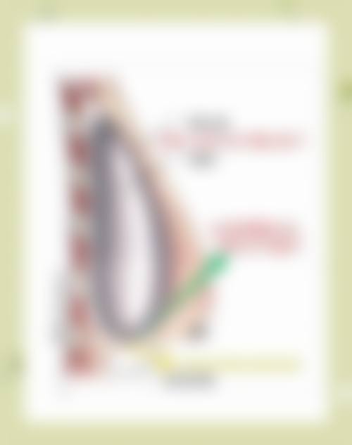 杭州西湖王圣林美容整形医院来院路线