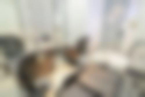 深圳青逸医疗美容门诊部基本信息