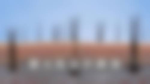 特色项目及技术优势