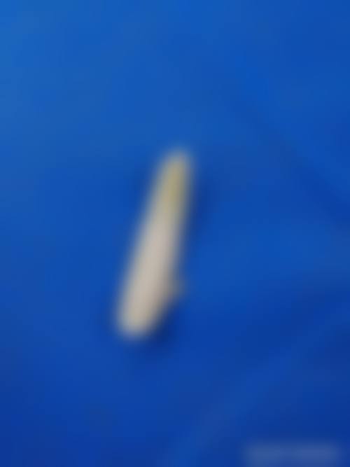 张四文医生覆盖的全品类医美诊疗项目