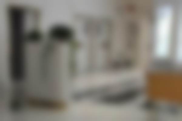 机构资质与正版保护