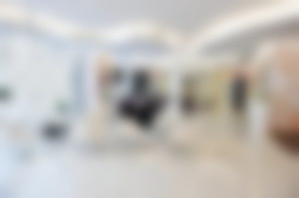 唐钦所在的美莱精尖骨干医生团队实力