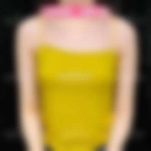 特色项目及技术优势