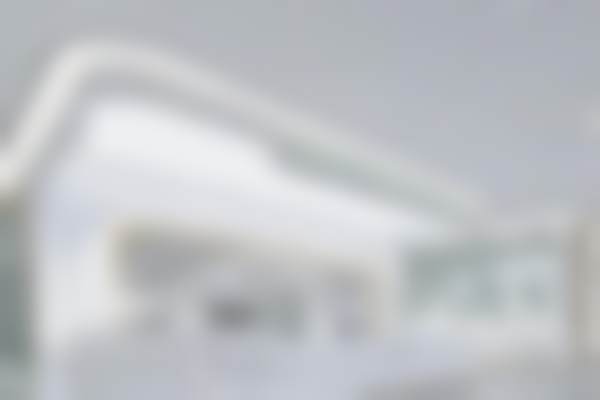 特色项目及技术优势