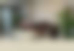 袁天华医生依托的精良医美技术与设备