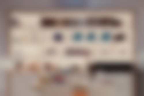 特色项目及技术优势