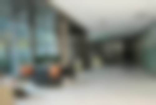 特色项目及技术优势