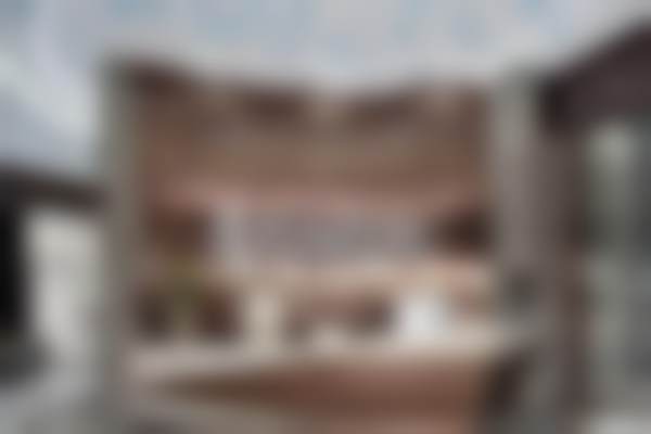 特色项目及技术优势