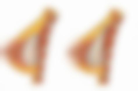 特色项目与服务优势