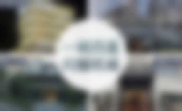 杨连华所在艺星的专精服务优势