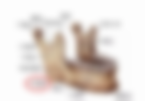 特色项目及技术优势