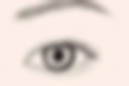 上海市闵行区中医和西医结合医院来院路线