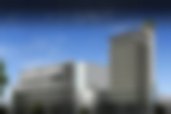 Pitch院长的学术积累与行业认可