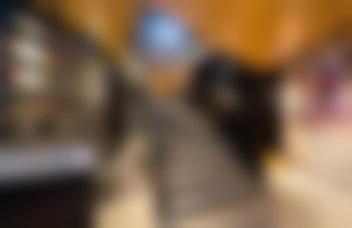 透明收费与便捷预约通道