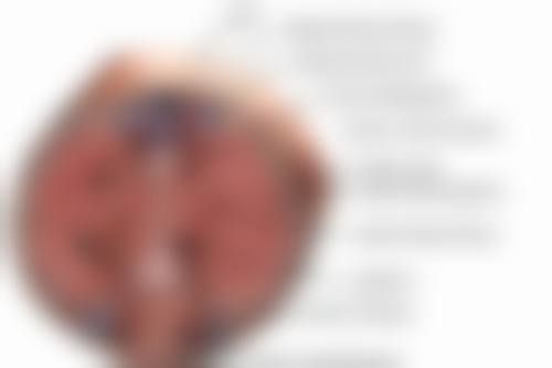 长沙安铂丽医疗美容门诊部特色项目及技术优势