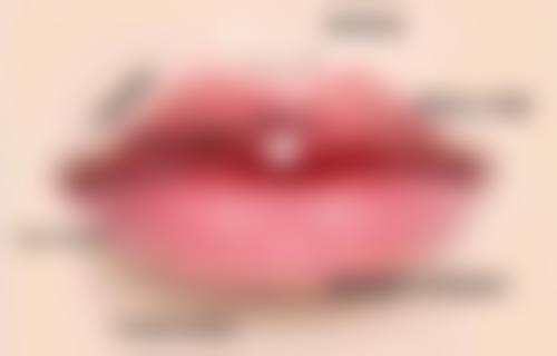 预约胡晗菲医生面诊的便捷渠道