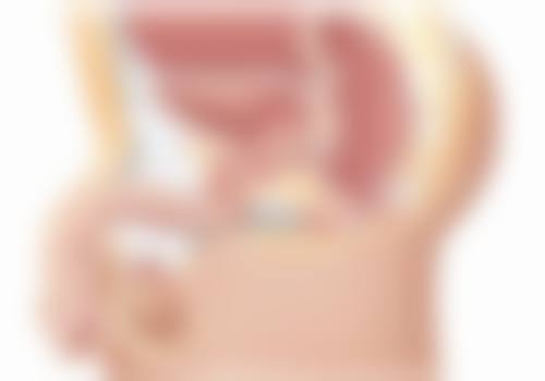 华韩（海南）整形美容医院有限公司基本信息