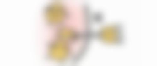 刘春华医生可开展的全品类整形美容项目