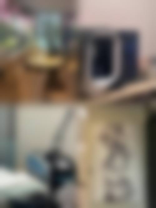 顾鹏的学术积累与从业资历